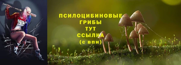 ешки Алзамай