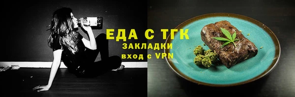 индика Абаза