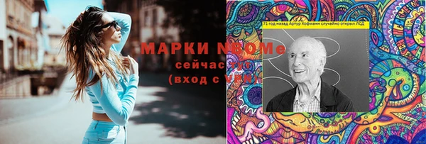 дурь Алексин