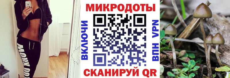 Галлюциногенные грибы GOLDEN TEACHER  купить  сайты  Цивильск 
