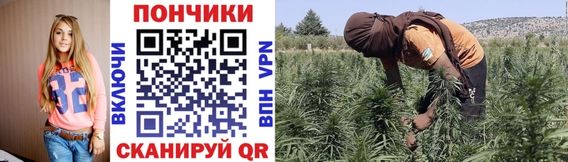 Каннабис конопля  кракен зеркало  Цивильск 